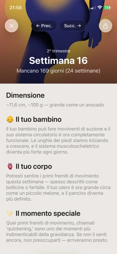 Ribbon Care — settimana 16 di gravidanza illustrata
