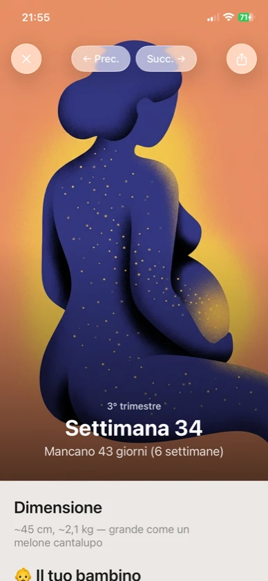 Ribbon Care — settimana 34 di gravidanza illustrata