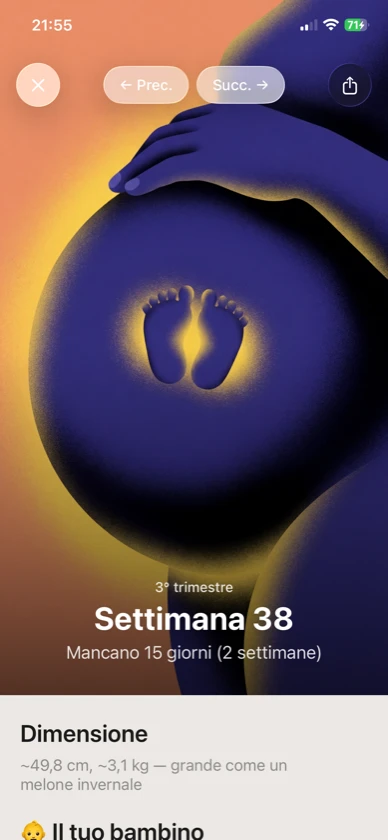 Gravidanza settimana per settimana — 40 illustrazioni originali